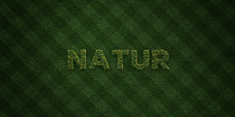 NATUR - fresh Grass letters with flowers and dandelions - 3D rendered royalty free stock image. Can be used for online banner ads and direct mailers..
