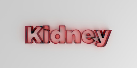 Kidney - Red glass text on white background - 3D rendered royalty free stock image.