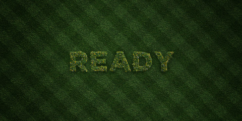 READY - fresh Grass letters with flowers and dandelions - 3D rendered royalty free stock image. Can be used for online banner ads and direct mailers..