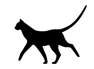 Walking cat, black vector silhouette on white background.