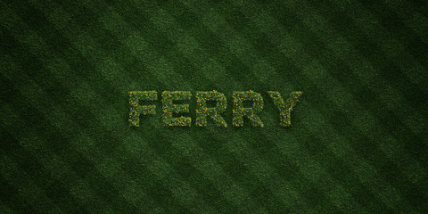 FERRY - fresh Grass letters with flowers and dandelions - 3D rendered royalty free stock image. Can be used for online banner ads and direct mailers..