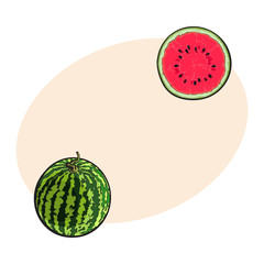 Whole striped watermelon with curled up tail and cut in half, sketch style vector illustration isolated with place for text. Realistic hand drawing of whole and half of juicy, ripe watermelon