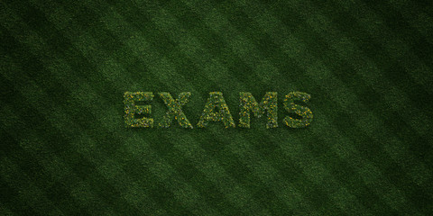 EXAMS - fresh Grass letters with flowers and dandelions - 3D rendered royalty free stock image. Can be used for online banner ads and direct mailers..