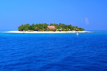 Einsame Trauminsel im Pazifik / Hütte / Herrlicher Strand und tiefblaues Meer 