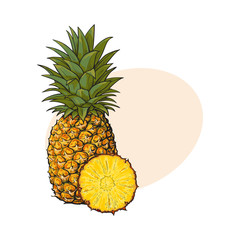 Whole, unpeeled, uncut, vertical pineapple and peeled round slice, sketch style vector illustration with place for text. Realistic hand drawing of whole and slice of fresh, ripe pineapple