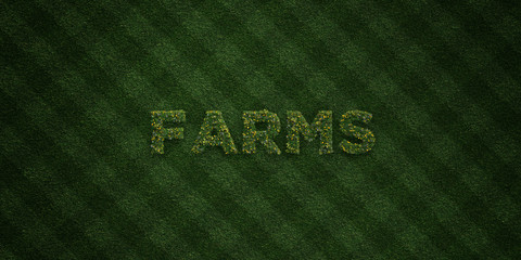 FARMS - fresh Grass letters with flowers and dandelions - 3D rendered royalty free stock image. Can be used for online banner ads and direct mailers..
