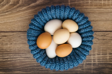 chicken eggs in blue nest