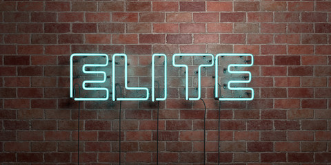 Fototapeta premium ELITE - fluorescent Neon tube Sign on brickwork - Front view - 3D rendered royalty free stock picture. Can be used for online banner ads and direct mailers..