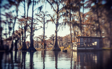 Banks Lake is natural  sink of ancient geologic origin. The refuge contains a variety of habitat types including 1,000 acres of marsh, 1,644 acres of cypress swamp, 900 acres of open water.