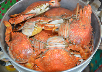 steamed crab in steaming pot