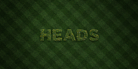 HEADS - fresh Grass letters with flowers and dandelions - 3D rendered royalty free stock image. Can be used for online banner ads and direct mailers..