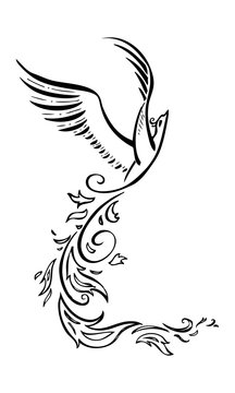 Decorative phoenix bird. Vector tattoo 
