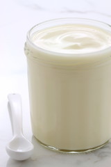 plain french style yogurt