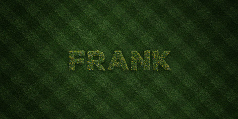 FRANK - fresh Grass letters with flowers and dandelions - 3D rendered royalty free stock image. Can be used for online banner ads and direct mailers..