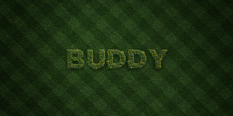 BUDDY - fresh Grass letters with flowers and dandelions - 3D rendered royalty free stock image. Can be used for online banner ads and direct mailers..