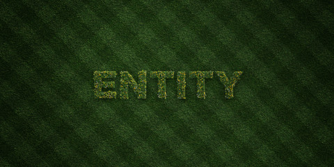 ENTITY - fresh Grass letters with flowers and dandelions - 3D rendered royalty free stock image. Can be used for online banner ads and direct mailers..