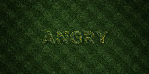 ANGRY - fresh Grass letters with flowers and dandelions - 3D rendered royalty free stock image. Can be used for online banner ads and direct mailers..