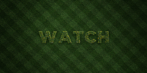 WATCH - fresh Grass letters with flowers and dandelions - 3D rendered royalty free stock image. Can be used for online banner ads and direct mailers..