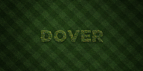 DOVER - fresh Grass letters with flowers and dandelions - 3D rendered royalty free stock image. Can be used for online banner ads and direct mailers..