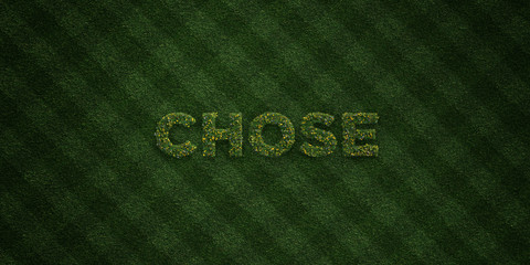 CHOSE - fresh Grass letters with flowers and dandelions - 3D rendered royalty free stock image. Can be used for online banner ads and direct mailers..