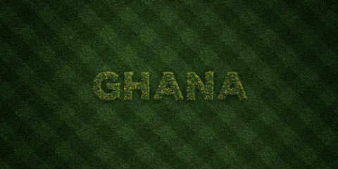 GHANA - fresh Grass letters with flowers and dandelions - 3D rendered royalty free stock image. Can be used for online banner ads and direct mailers..