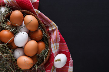 Fresh chicken brown eggs isolated, organic farming background