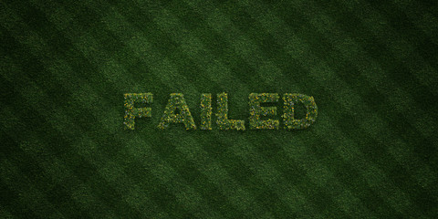 FAILED - fresh Grass letters with flowers and dandelions - 3D rendered royalty free stock image. Can be used for online banner ads and direct mailers..