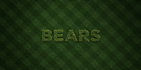 BEARS - fresh Grass letters with flowers and dandelions - 3D rendered royalty free stock image. Can be used for online banner ads and direct mailers..