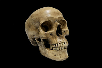 Human Skull isolated on black background.