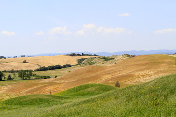Obraz premium Typical landscape of Tuscany at Crete Senesi, Italy, Europe