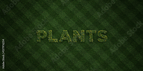 Plants Fresh Grass Letters With Flowers And Dandelions 3d