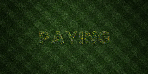 PAYING - fresh Grass letters with flowers and dandelions - 3D rendered royalty free stock image. Can be used for online banner ads and direct mailers..