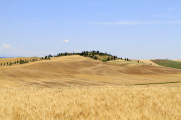 Typical landscape of Tuscany at Crete Senesi, Italy, Europe