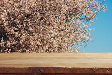 wooden table in front of spring cherry blossoms tree