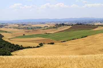 Fototapeta na wymiar Typical landscape of Tuscany at Crete Senesi, Italy, Europe