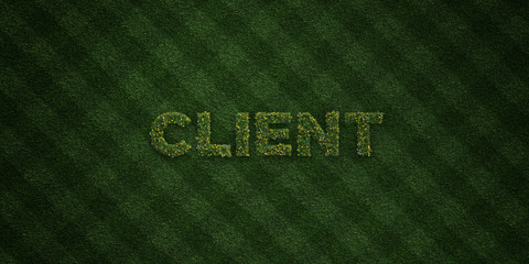 Fototapeta na wymiar CLIENT - fresh Grass letters with flowers and dandelions - 3D rendered royalty free stock image. Can be used for online banner ads and direct mailers..