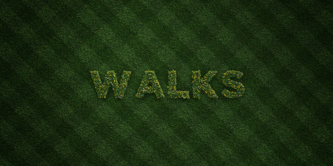 WALKS - fresh Grass letters with flowers and dandelions - 3D rendered royalty free stock image. Can be used for online banner ads and direct mailers..