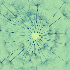 Dandelion with buds vector background vintage