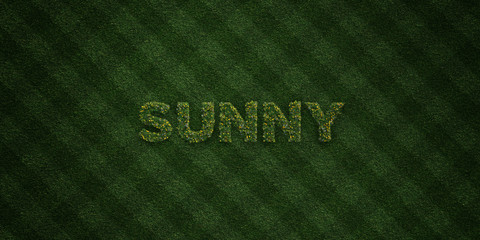 SUNNY - fresh Grass letters with flowers and dandelions - 3D rendered royalty free stock image. Can be used for online banner ads and direct mailers..