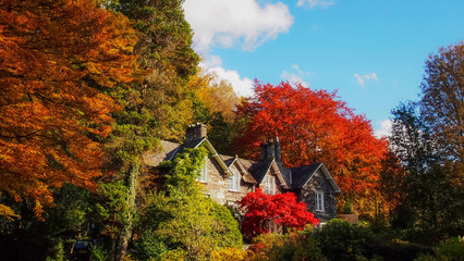 autumn in lake district