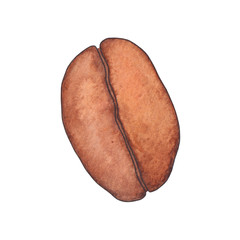 Coffee bean. Watercolor sketch illustration. Isolated on white background.