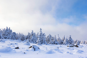 Harz im Winter