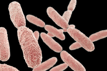 Bacteria Klebsiella isolated on black background, 3D illustration. Gram-negative rod-shaped bacteria which are often nosocomial antibiotic resistant
