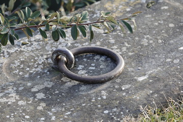 metal ring for mooring
