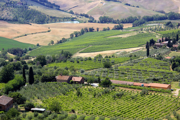 Fototapeta na wymiar View from Montepulciano in Tuscany, Italy, Europe