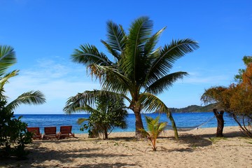 Obraz na płótnie Canvas Strand Idylle mit Liege Palme und einsamen Strand und traumhafter Blick aufs Meer / Fiji / Naviti Island