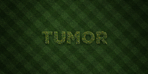 TUMOR - fresh Grass letters with flowers and dandelions - 3D rendered royalty free stock image. Can be used for online banner ads and direct mailers..