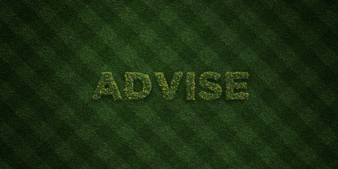 ADVISE - fresh Grass letters with flowers and dandelions - 3D rendered royalty free stock image. Can be used for online banner ads and direct mailers..