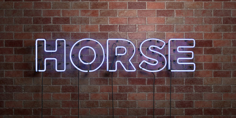 HORSE - fluorescent Neon tube Sign on brickwork - Front view - 3D rendered royalty free stock picture. Can be used for online banner ads and direct mailers..