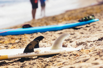 Fototapeta na wymiar surfboard on the sand dries, the film effect